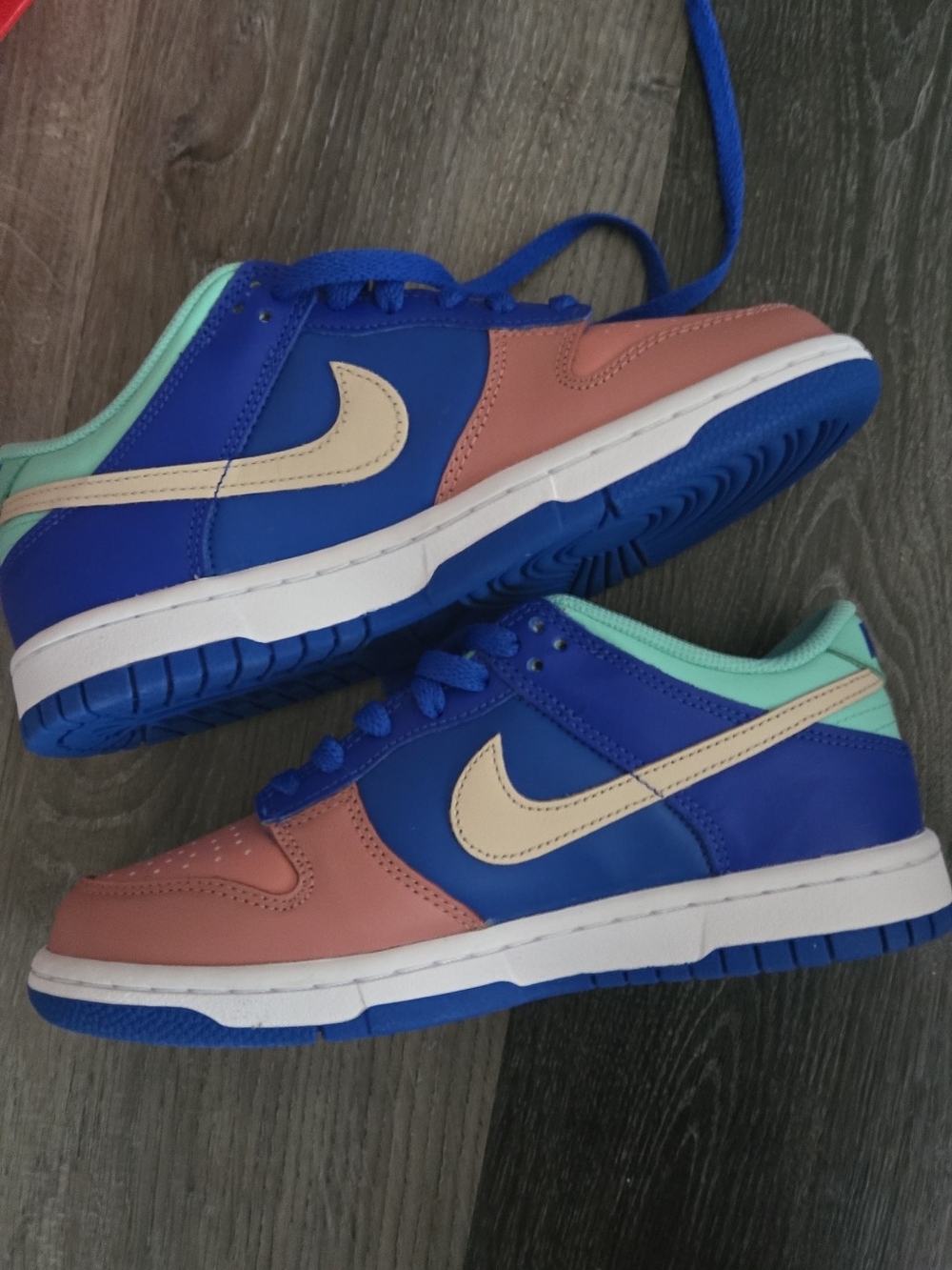 Nike Dunk Low SE (GS) BRAND NEW DZ2873 400 Size 5.5/7 Women